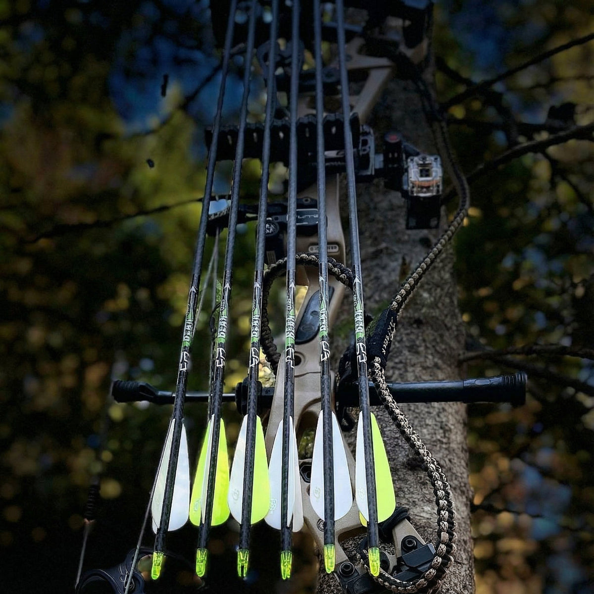 Flèches d'arc Bear Claw en carbone, rectitude ± .003 po — Dead Flight Arrows (vue 2)