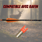 Flèches d'arbalète Bolt XT en carbone — Dead Flight Arrows (vue 2)