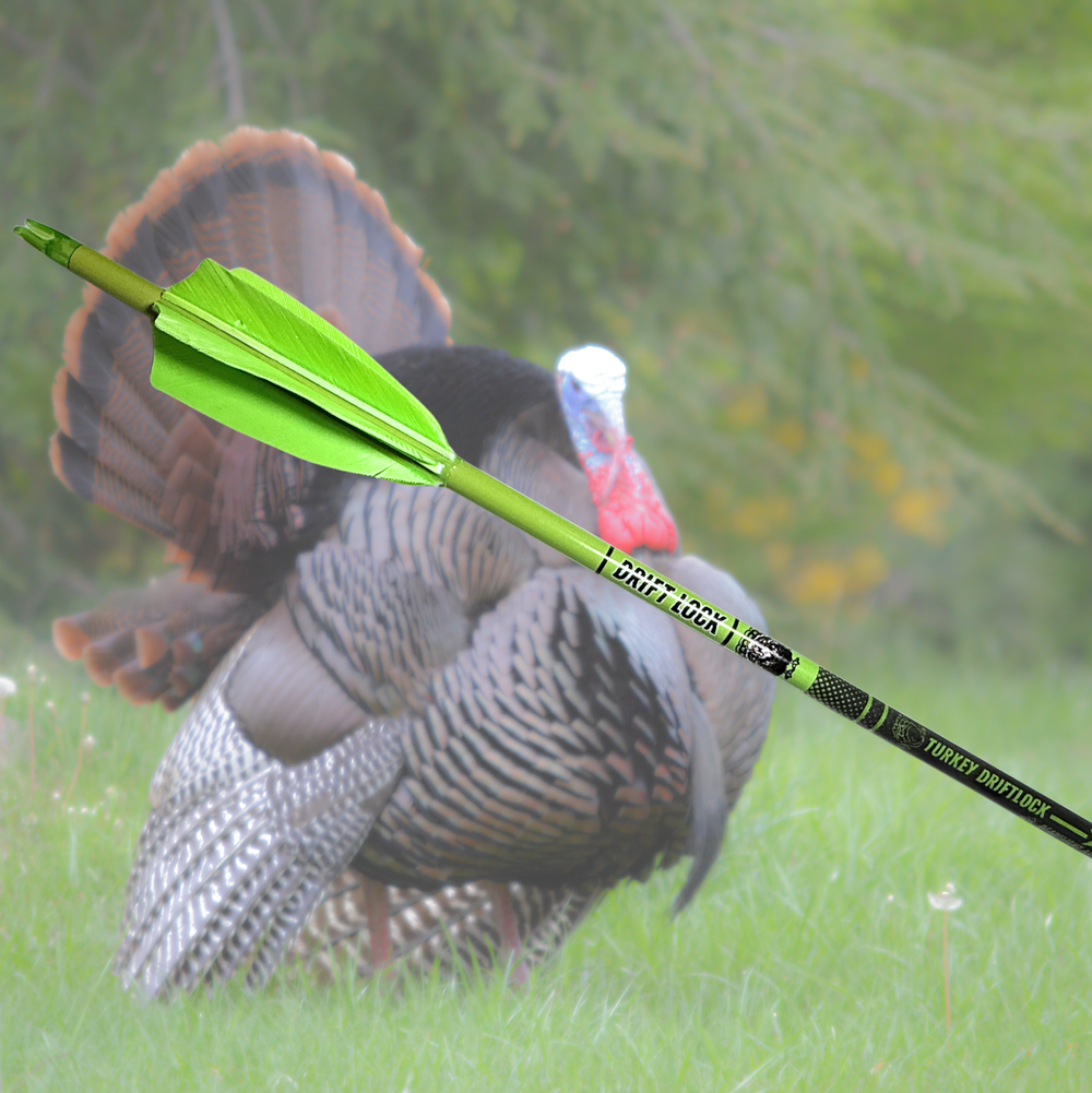 Flèches Driftlock pour la chasse au dindon, 6 plumes naturelles — Dead Flight Arrows