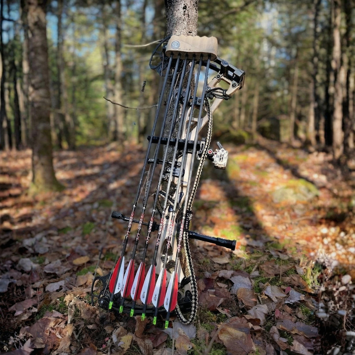 Flèches d'arc Core XT en carbone, rectitude ± .001 po — Dead Flight Arrows