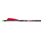 flèches d'arc core xt